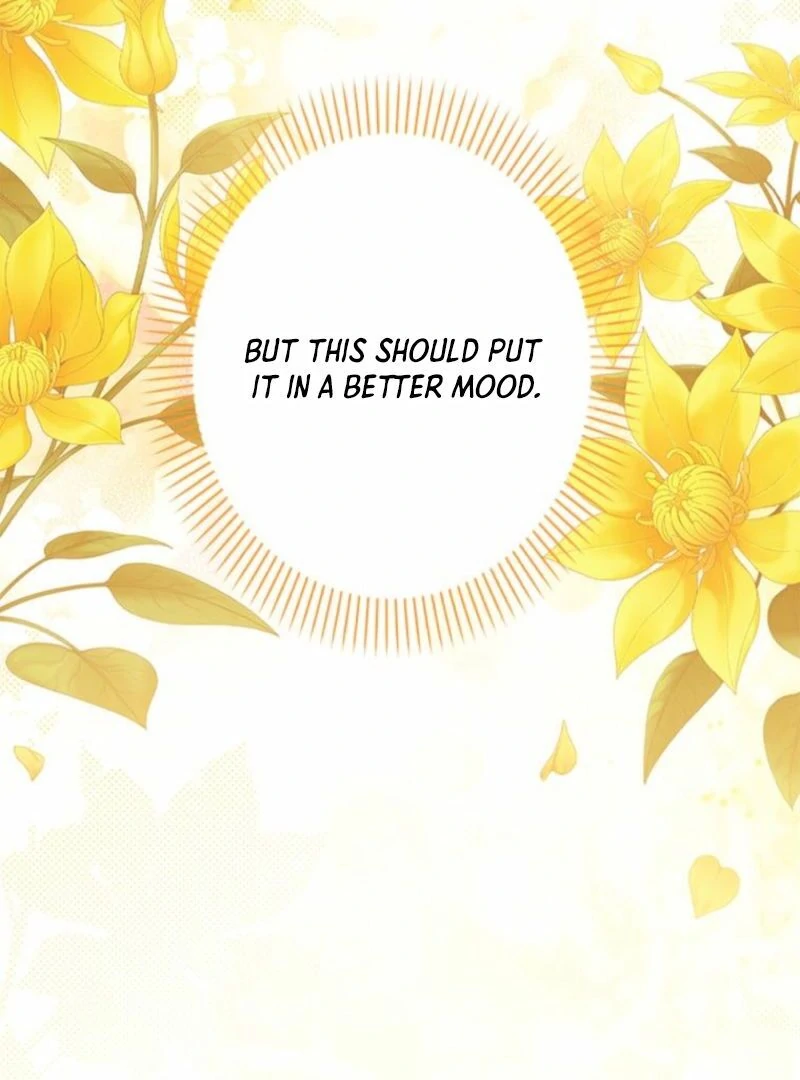 I Will Not be Overshadowed by my Twin Sister in This Life Chapter 13 476 033