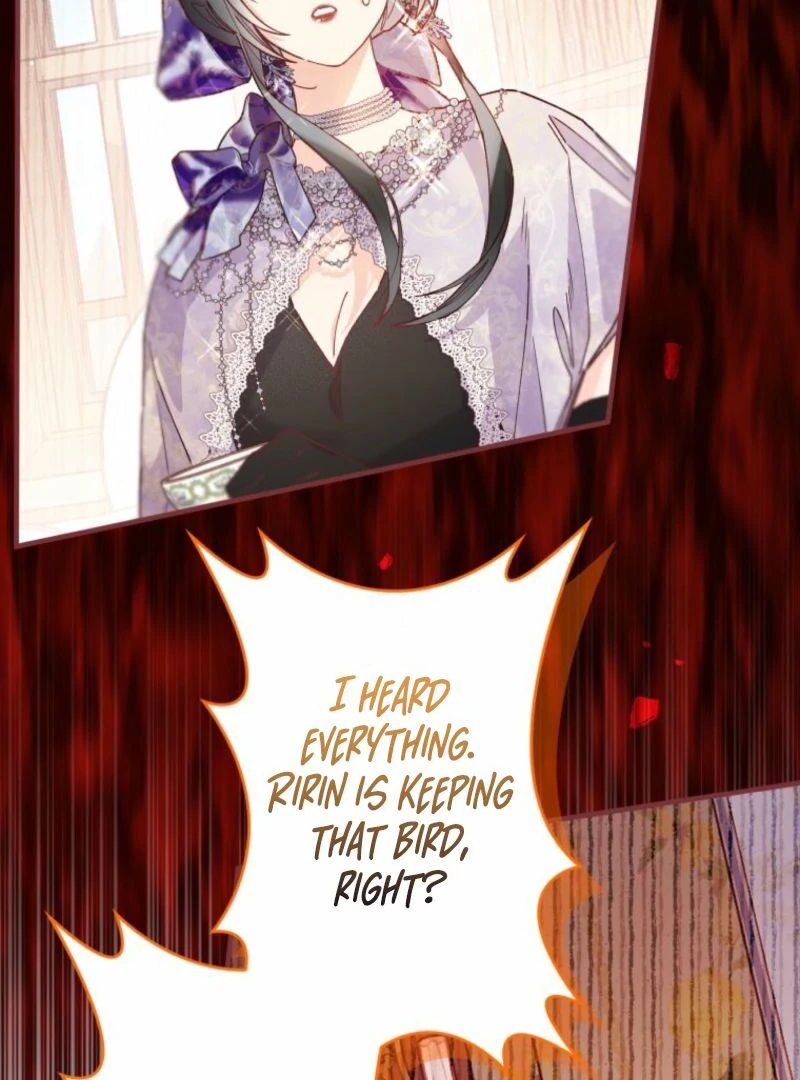 I Will Not be Overshadowed by my Twin Sister in This Life Chapter 13 494 051