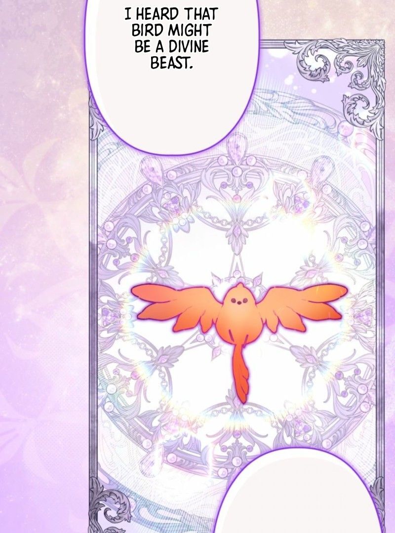 I Will Not be Overshadowed by my Twin Sister in This Life Chapter 13 499 056