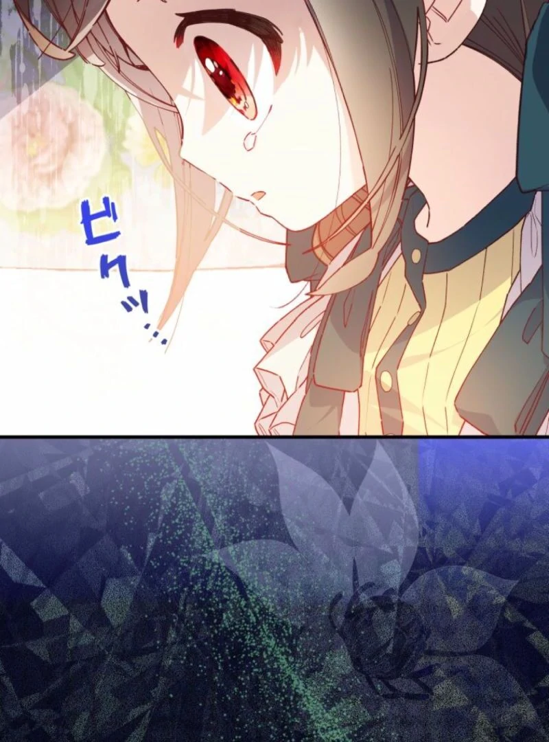 I Will Not be Overshadowed by my Twin Sister in This Life Chapter 13 509 066