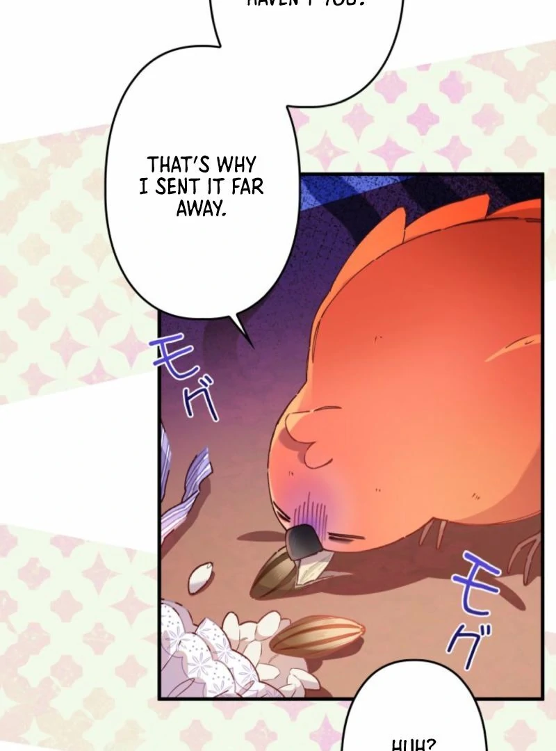 I Will Not be Overshadowed by my Twin Sister in This Life Chapter 13 534 091