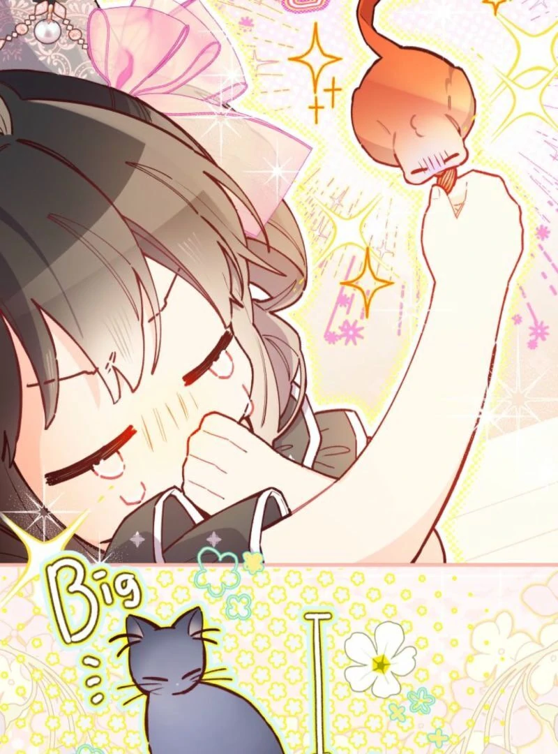 I Will Not be Overshadowed by my Twin Sister in This Life Chapter 13 538 095