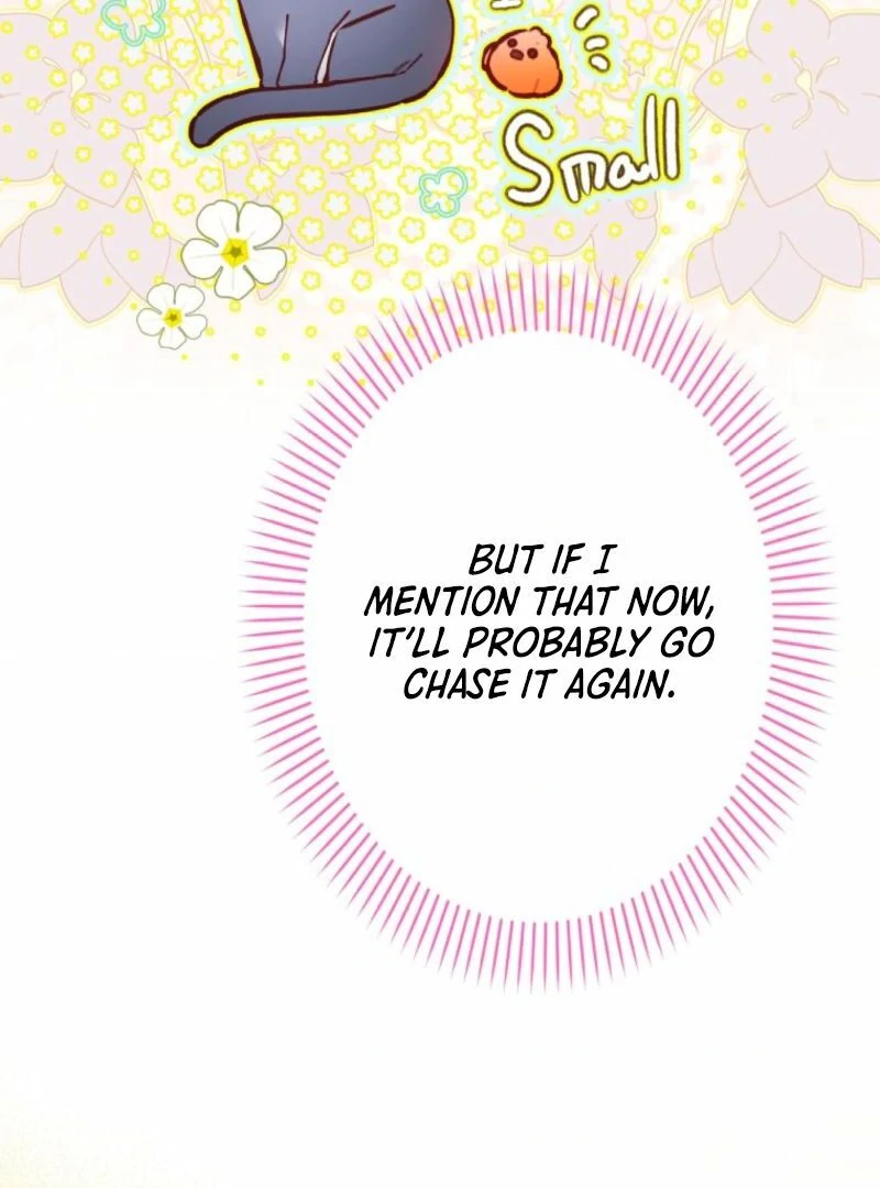 I Will Not be Overshadowed by my Twin Sister in This Life Chapter 13 539 096