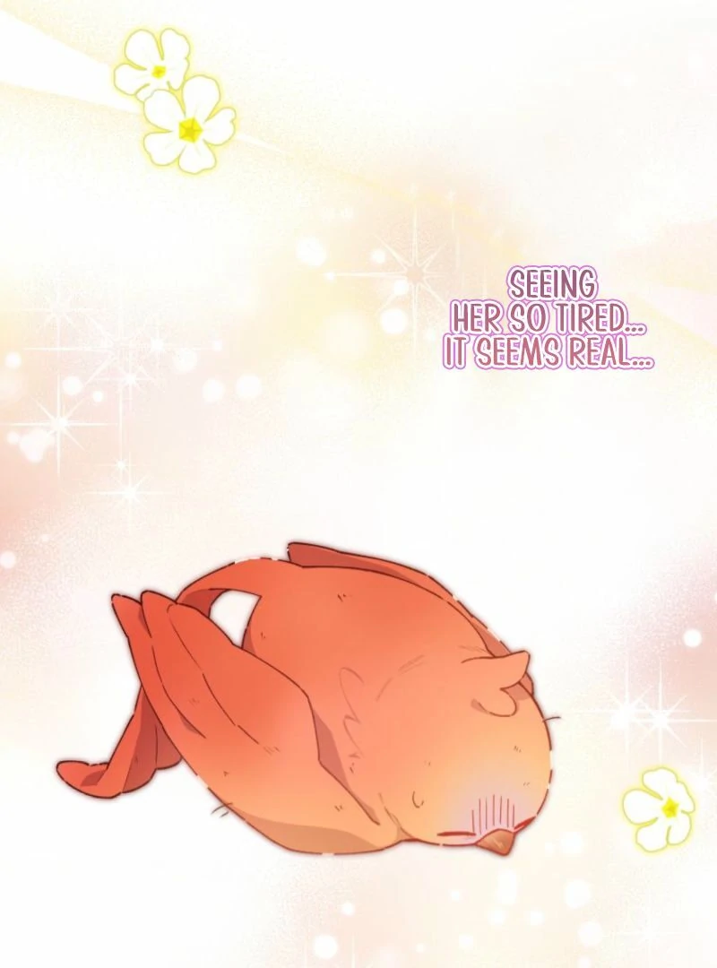 I Will Not be Overshadowed by my Twin Sister in This Life Chapter 13 540 097