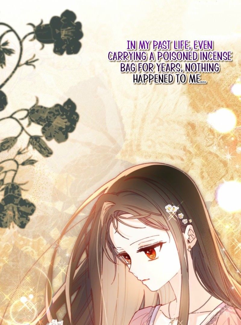 I Will Not be Overshadowed by my Twin Sister in This Life Chapter 13 543 100