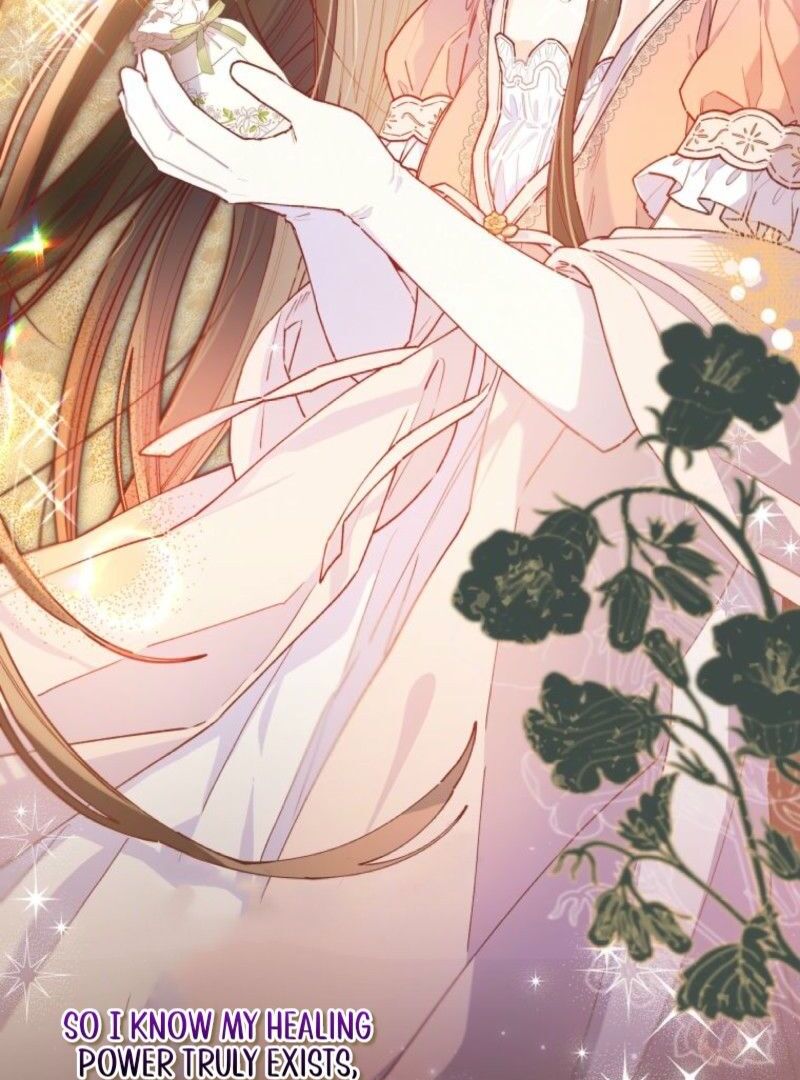 I Will Not be Overshadowed by my Twin Sister in This Life Chapter 13 544 101