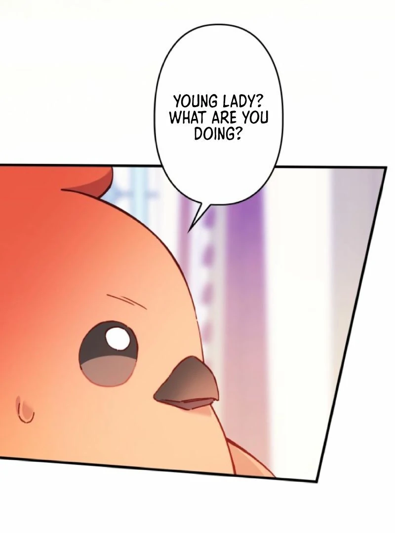 I Will Not be Overshadowed by my Twin Sister in This Life Chapter 13 556 113