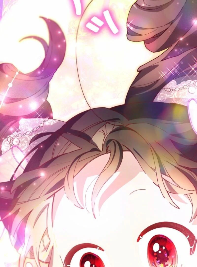 I Will Not be Overshadowed by my Twin Sister in This Life Chapter 13 582 139