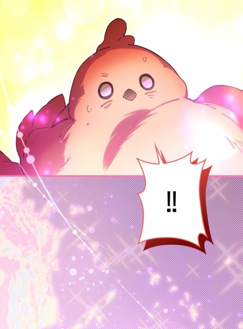 I Will Not be Overshadowed by my Twin Sister in This Life Chapter 13 584 141