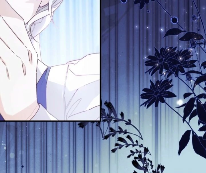 I Will Not be Overshadowed by my Twin Sister in This Life Chapter 2 552 016