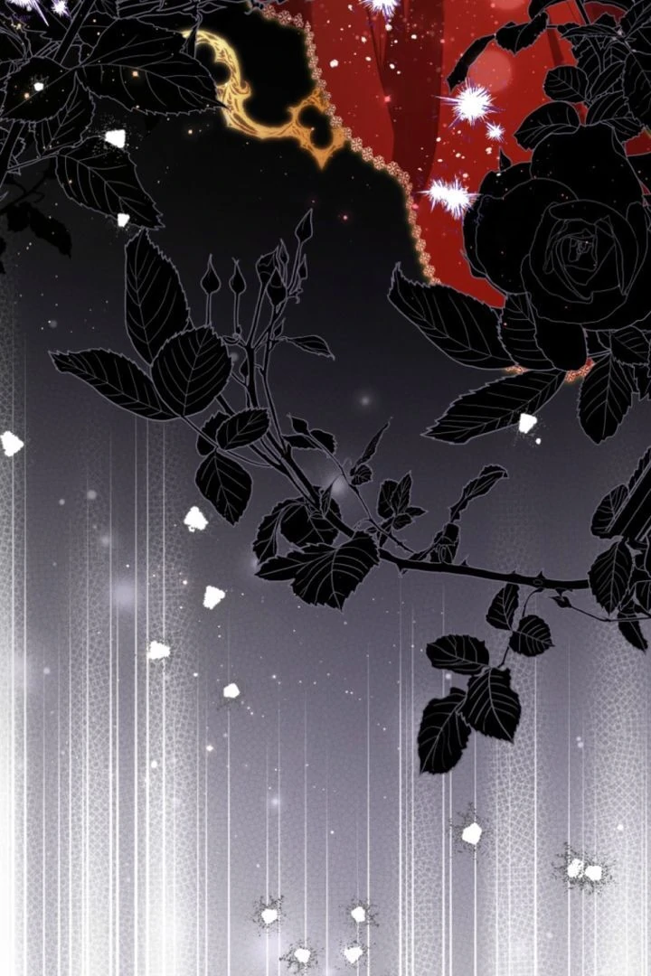 I Will Not be Overshadowed by my Twin Sister in This Life Chapter 2 564 028