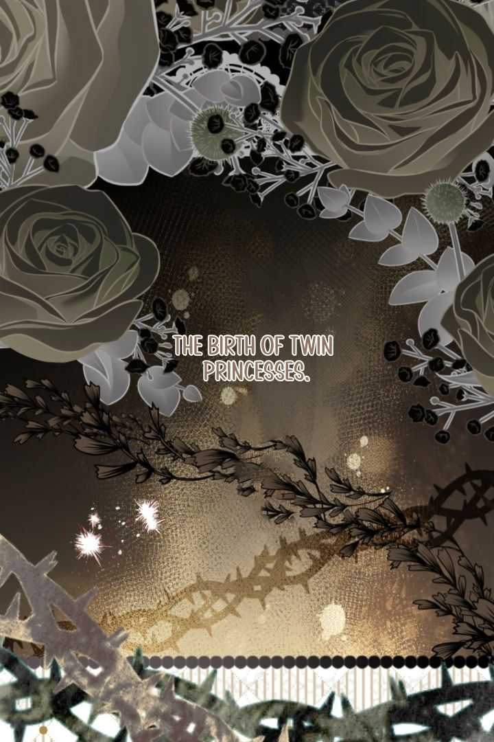 I Will Not be Overshadowed by my Twin Sister in This Life Chapter 2 569 033