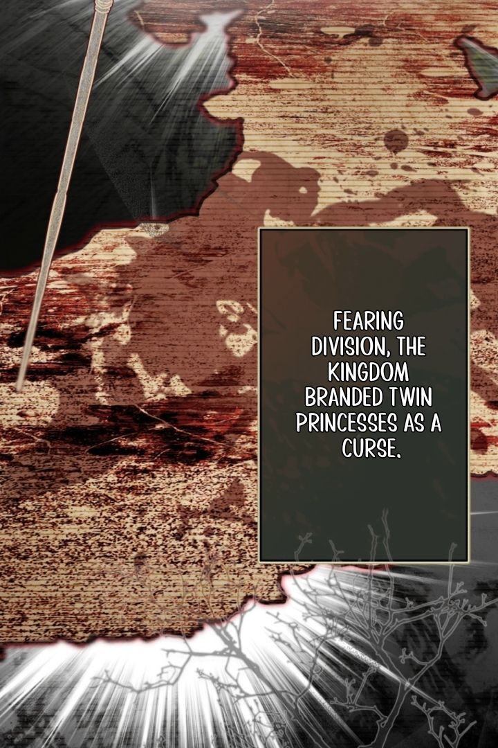 I Will Not be Overshadowed by my Twin Sister in This Life Chapter 2 573 037