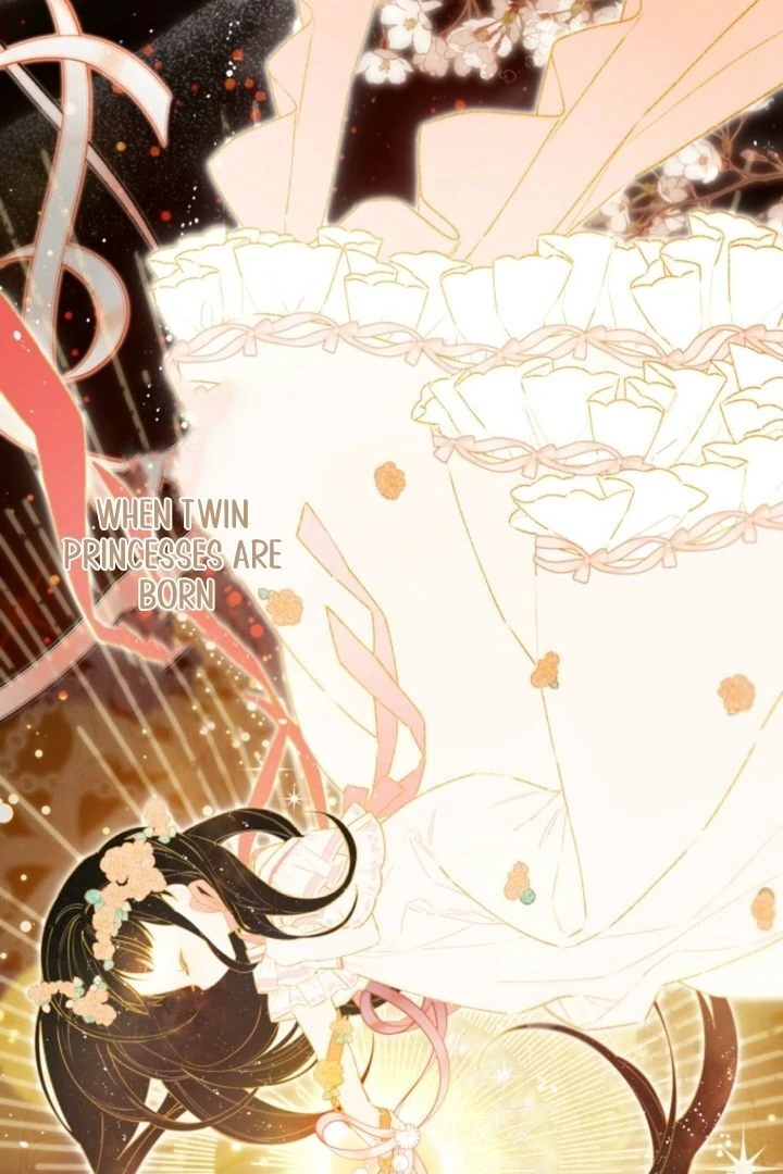 I Will Not be Overshadowed by my Twin Sister in This Life Chapter 2 579 043