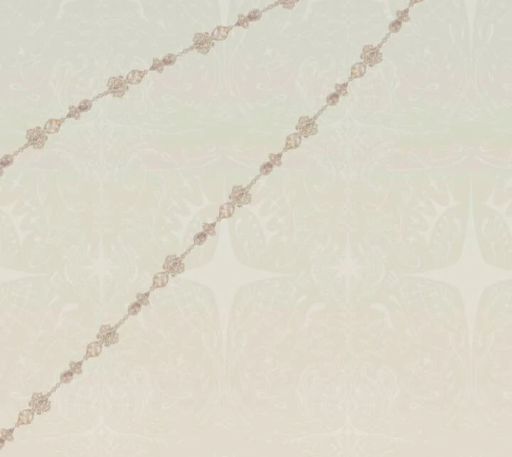 I Will Not be Overshadowed by my Twin Sister in This Life Chapter 2 626 090