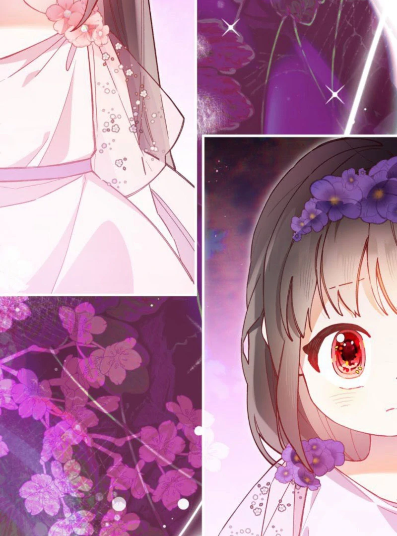 I Will Not be Overshadowed by my Twin Sister in This Life Chapter 22 465 062