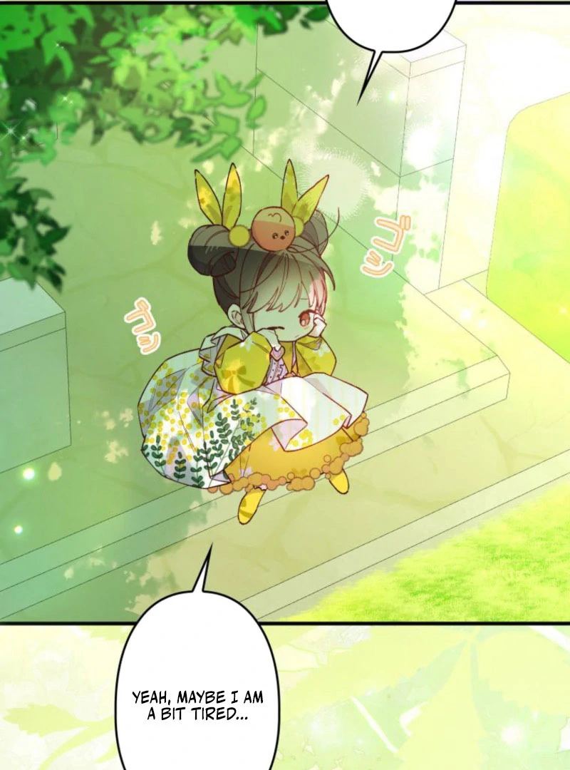 I Will Not be Overshadowed by my Twin Sister in This Life Chapter 22 491 088