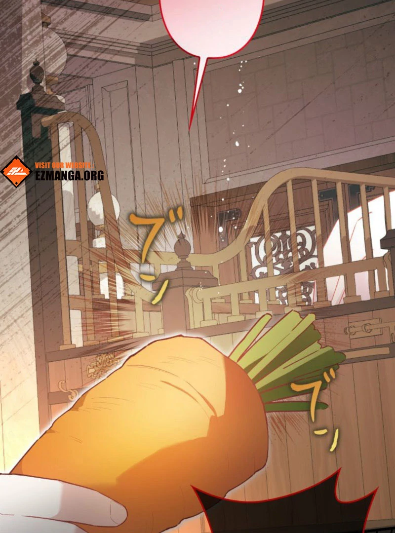 I Will Not be Overshadowed by my Twin Sister in This Life Chapter 22 503 100