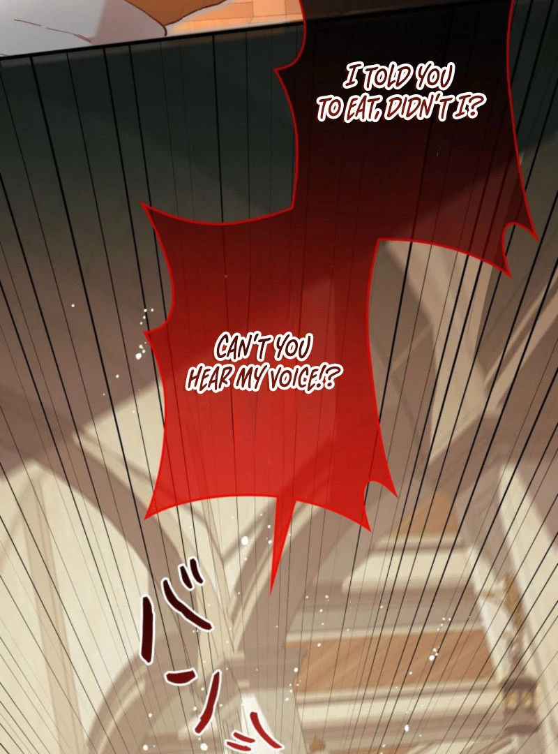 I Will Not be Overshadowed by my Twin Sister in This Life Chapter 22 504 101