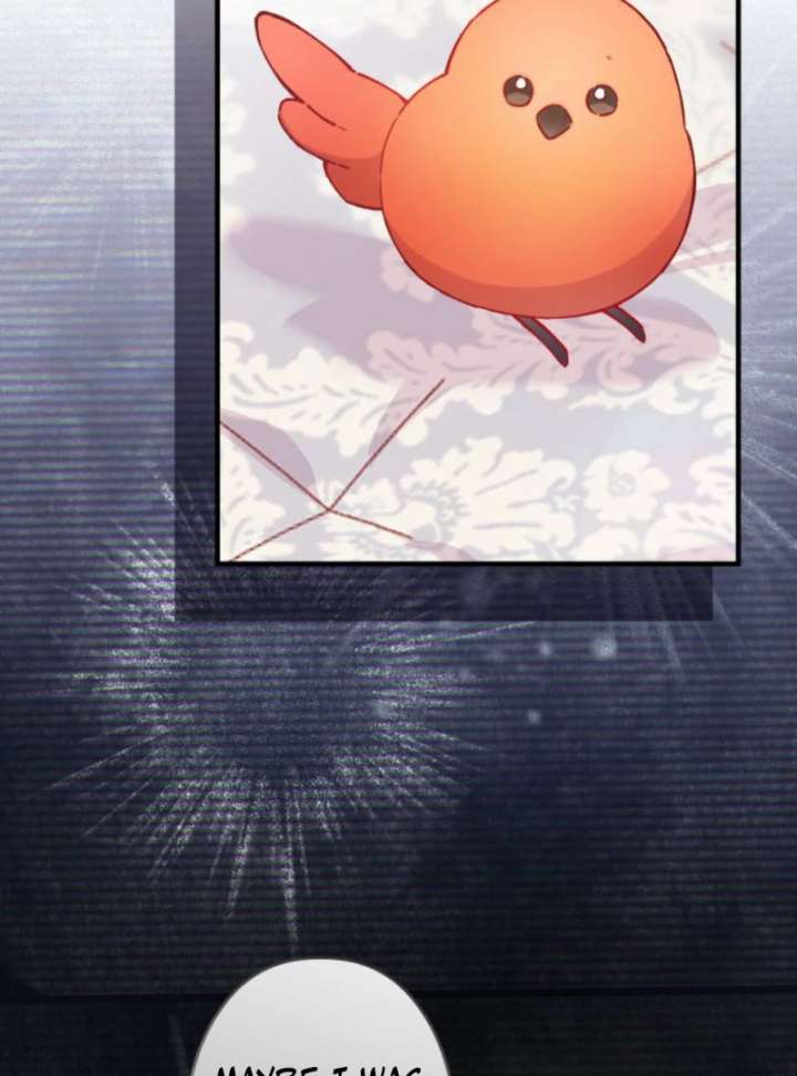 I Will Not be Overshadowed by my Twin Sister in This Life Chapter 24 509 112