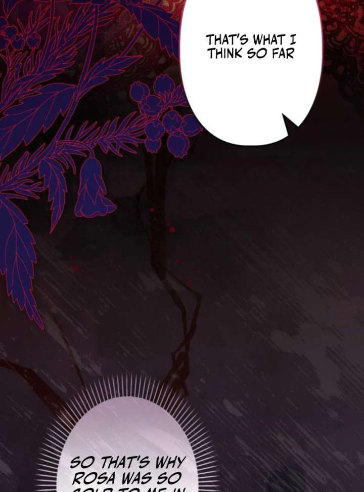 I Will Not be Overshadowed by my Twin Sister in This Life Chapter 25 462 050