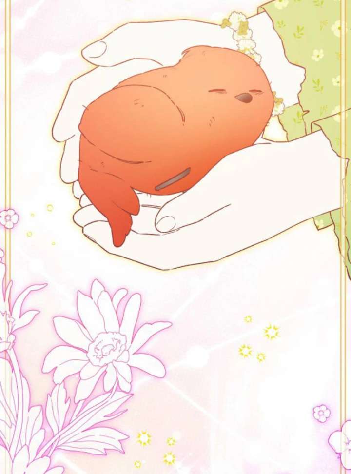 I Will Not be Overshadowed by my Twin Sister in This Life Chapter 25 475 063