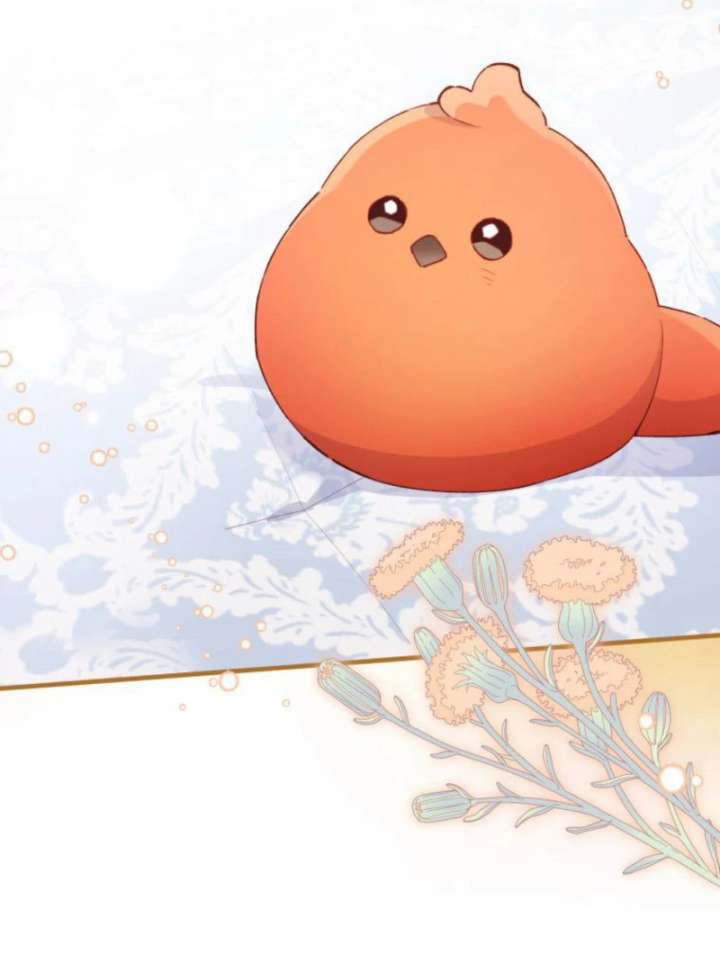 I Will Not be Overshadowed by my Twin Sister in This Life Chapter 25 499 087