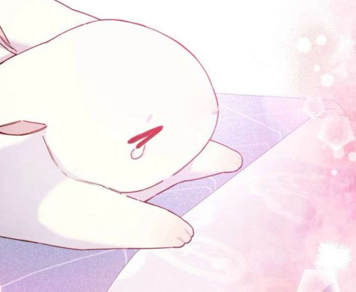 I Will Not be Overshadowed by my Twin Sister in This Life Chapter 25 504 092