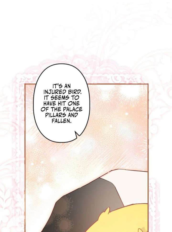 I Will Not be Overshadowed by my Twin Sister in This Life Chapter 25 534 122