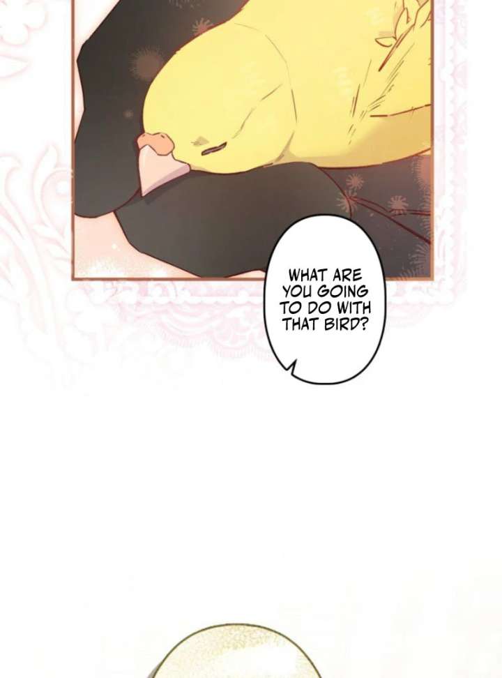 I Will Not be Overshadowed by my Twin Sister in This Life Chapter 25 535 123