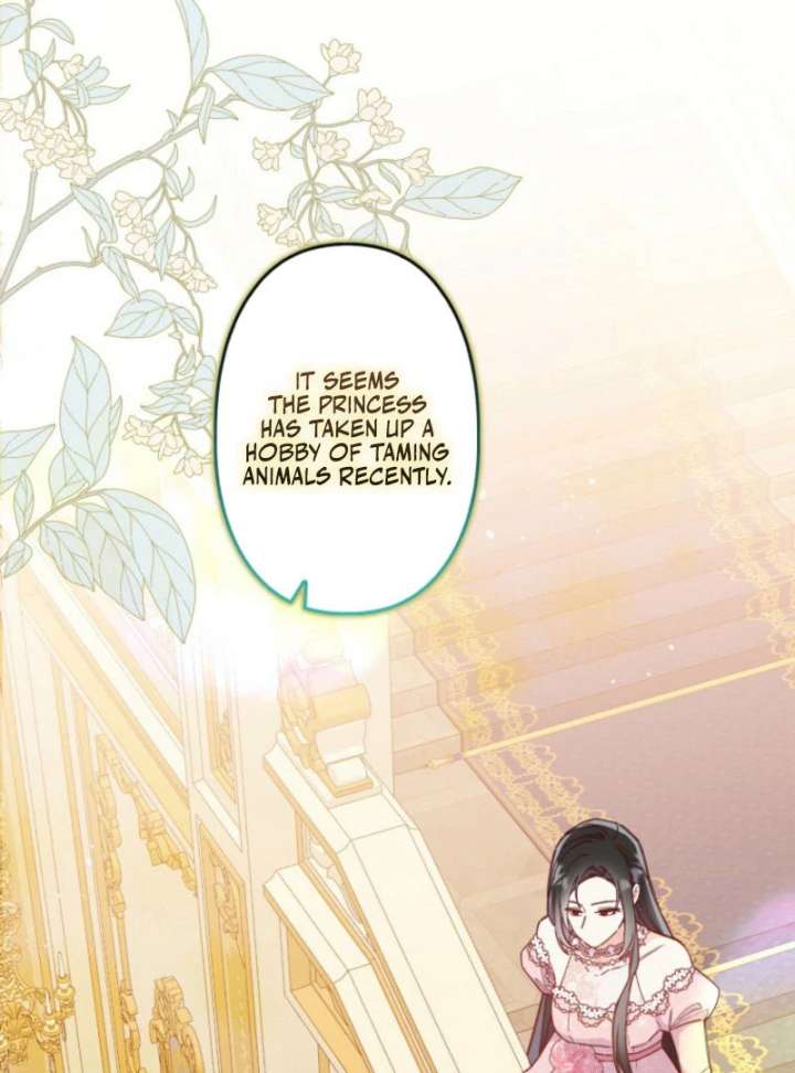 I Will Not be Overshadowed by my Twin Sister in This Life Chapter 26 431 010