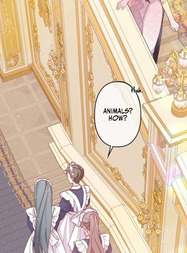 I Will Not be Overshadowed by my Twin Sister in This Life Chapter 26 432 011