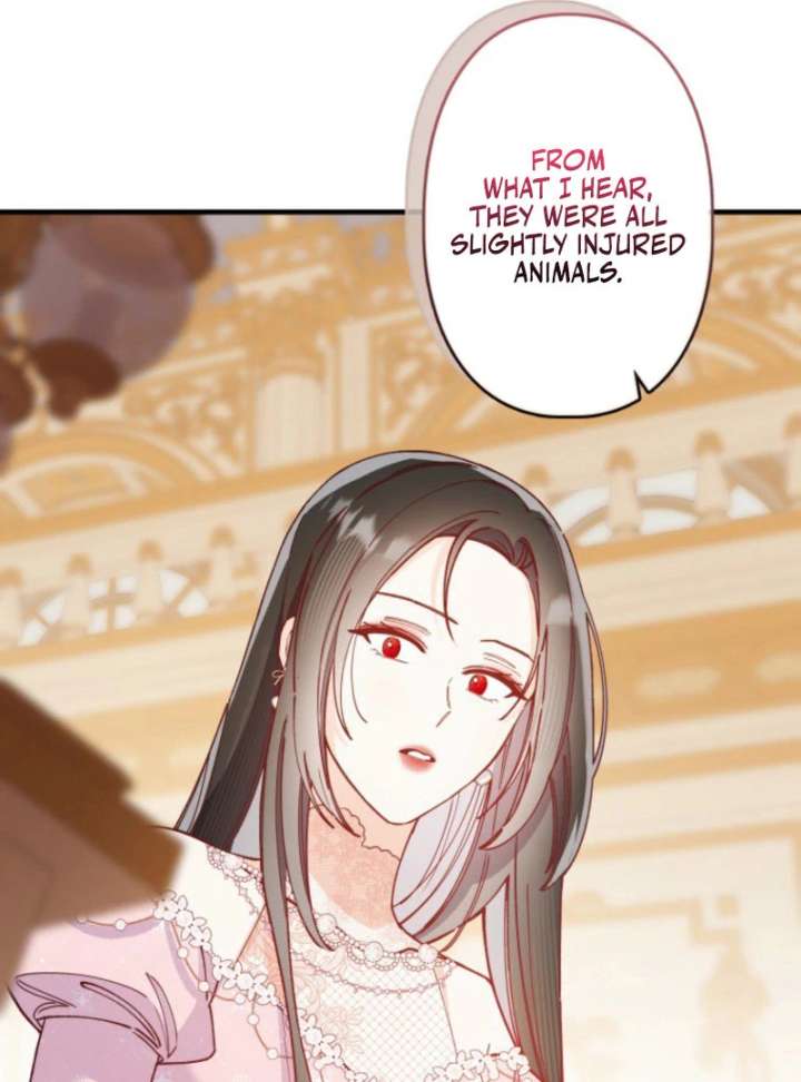 I Will Not be Overshadowed by my Twin Sister in This Life Chapter 26 435 014