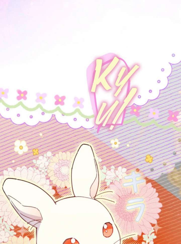 I Will Not be Overshadowed by my Twin Sister in This Life Chapter 26 458 037