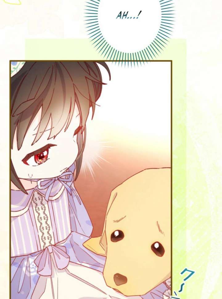 I Will Not be Overshadowed by my Twin Sister in This Life Chapter 26 481 060