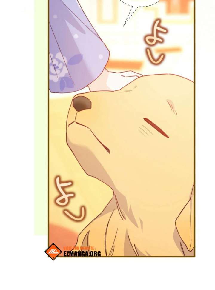 I Will Not be Overshadowed by my Twin Sister in This Life Chapter 26 483 062