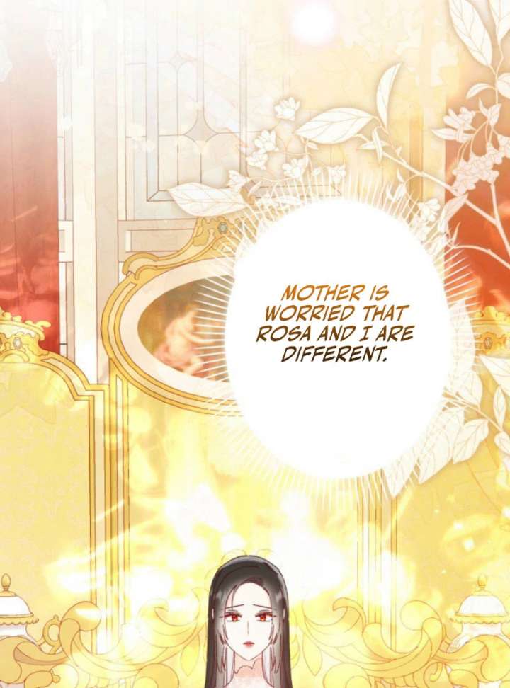 I Will Not be Overshadowed by my Twin Sister in This Life Chapter 26 500 079