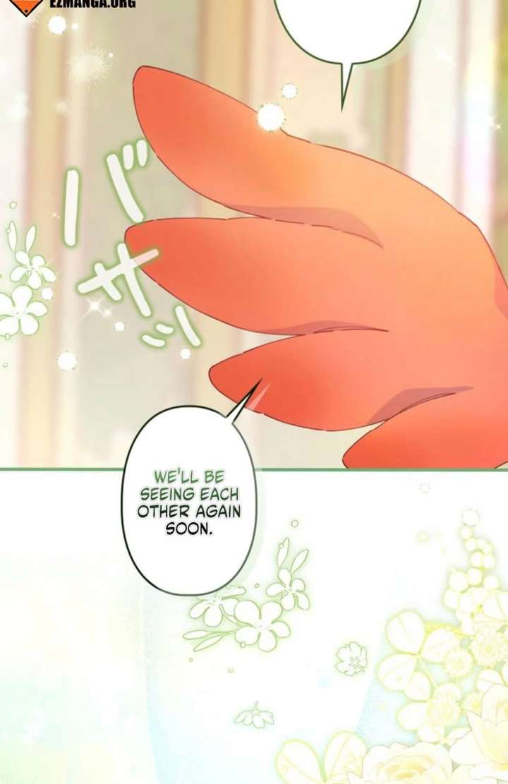 I Will Not be Overshadowed by my Twin Sister in This Life Chapter 30 490 033