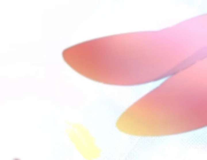 I Will Not be Overshadowed by my Twin Sister in This Life Chapter 30 494 037