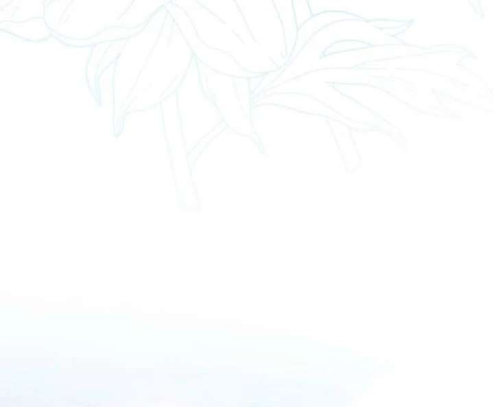 I Will Not be Overshadowed by my Twin Sister in This Life Chapter 30 550 093