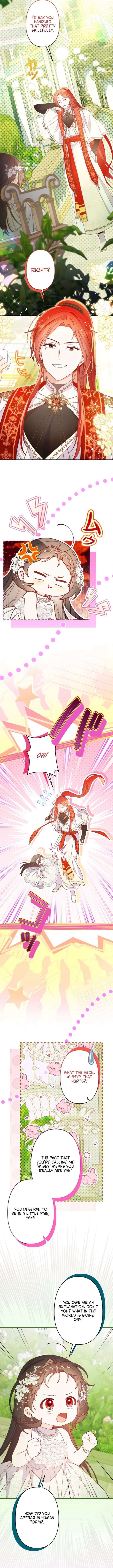 I Will Not be Overshadowed by my Twin Sister in This Life Chapter 31 61 9