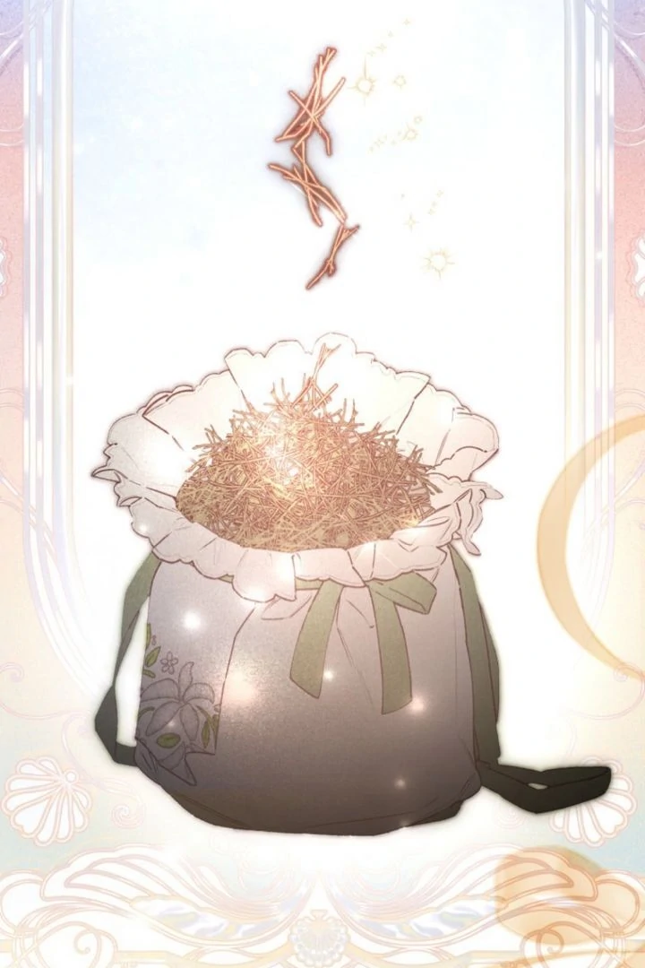 I Will Not be Overshadowed by my Twin Sister in This Life Chapter 5 495 103