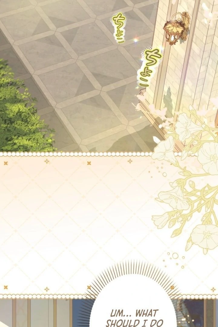 I Will Not be Overshadowed by my Twin Sister in This Life Chapter 5 500 108