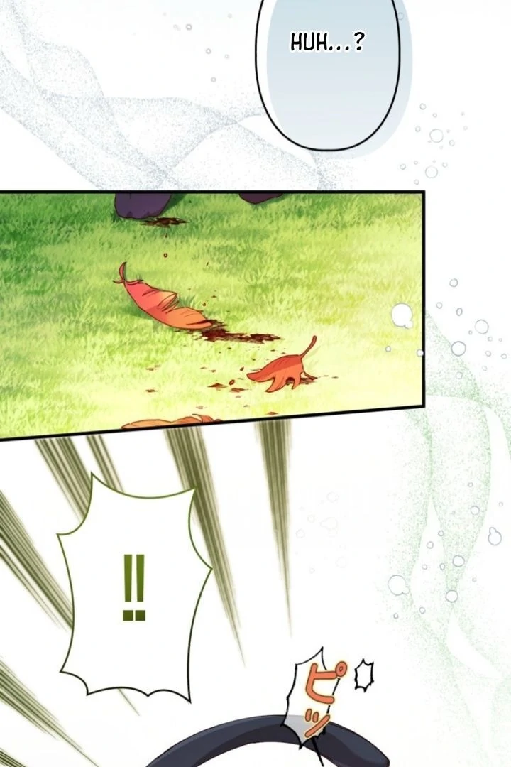 I Will Not be Overshadowed by my Twin Sister in This Life Chapter 5 510 118