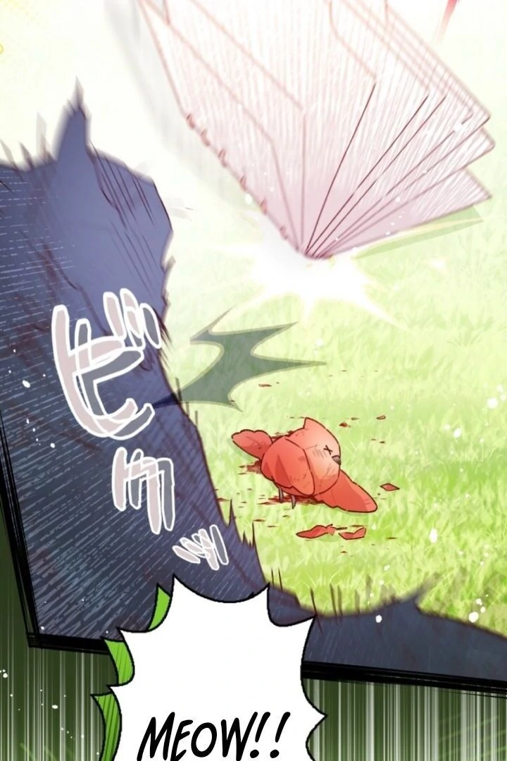 I Will Not be Overshadowed by my Twin Sister in This Life Chapter 5 518 126