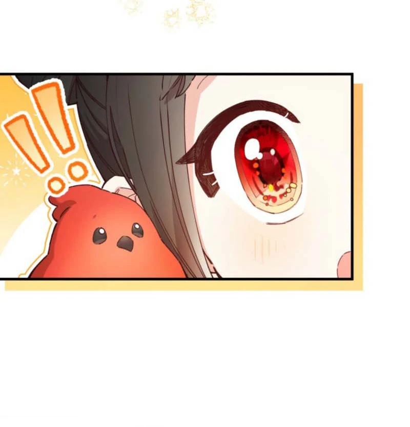 I Will Not be Overshadowed by my Twin Sister in This Life Chapter 7 395 014