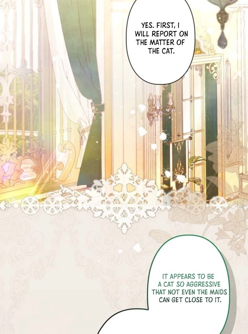 I Will Not be Overshadowed by my Twin Sister in This Life Chapter 7 412 031