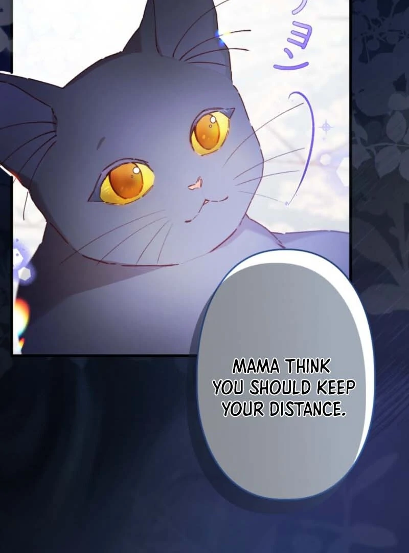 I Will Not be Overshadowed by my Twin Sister in This Life Chapter 7 450 069