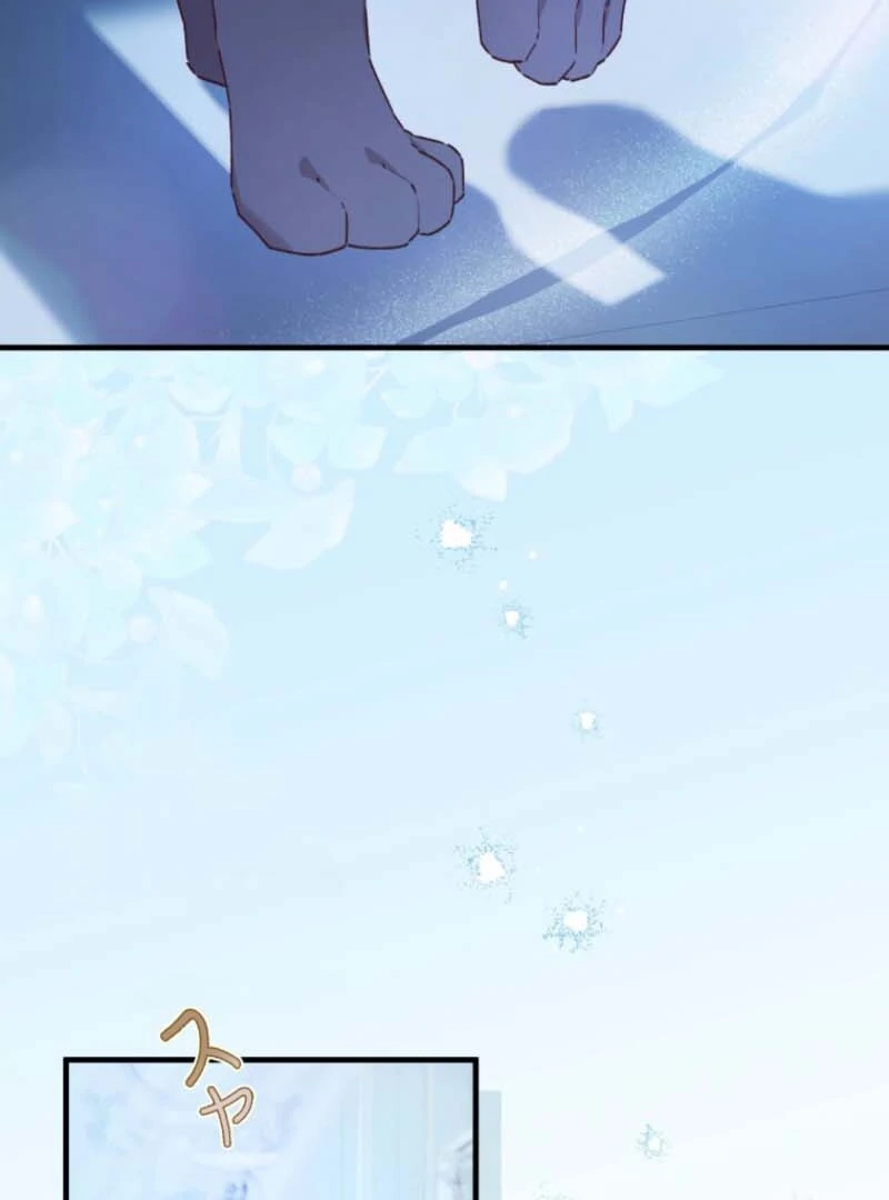 I Will Not be Overshadowed by my Twin Sister in This Life Chapter 7 486 105