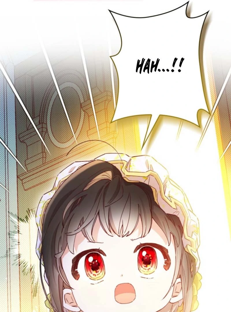 I Will Not be Overshadowed by my Twin Sister in This Life Chapter 7 493 112